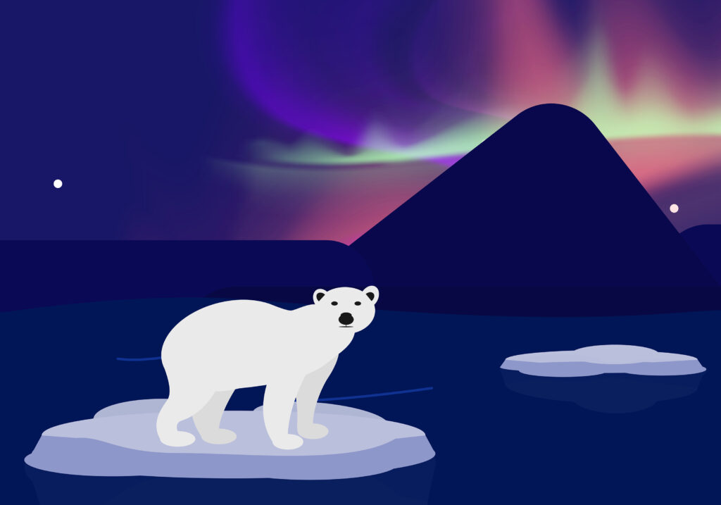 polarlichter
